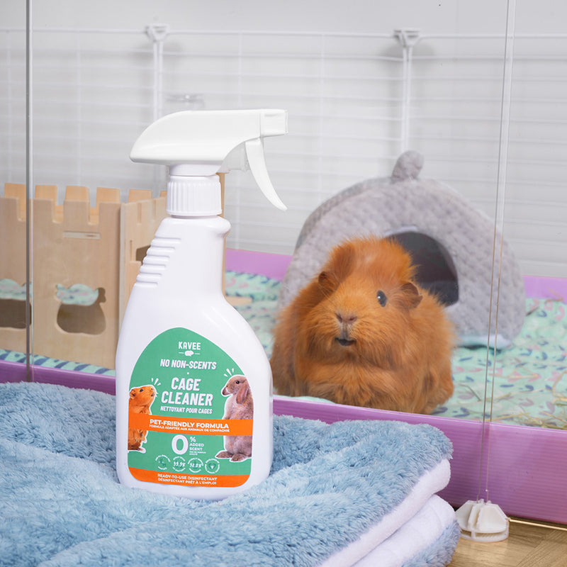 Spray nettoyant pour cage de la marque Kavee devant la cage colorée d'un cochon d'Inde