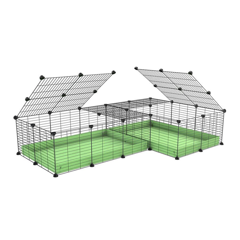 une cavy cage 6x2 en L avec couvercle et separation pour cochons d'inde qui se battent ou en quarantaine avec coroplast vert kavee