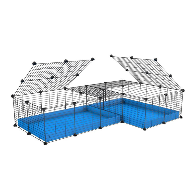 une cavy cage 6x2 en L avec couvercle et separation pour cochons d'inde qui se battent ou en quarantaine avec coroplast bleu kavee