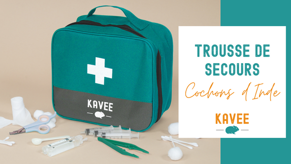 Que Faut-il Avoir dans sa Trousse de Secours pour Cochons d'Inde ?
