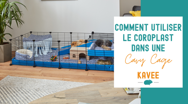 coroplast comment utiliser couper combiner plaque cavy kavee cage cochon d'inde