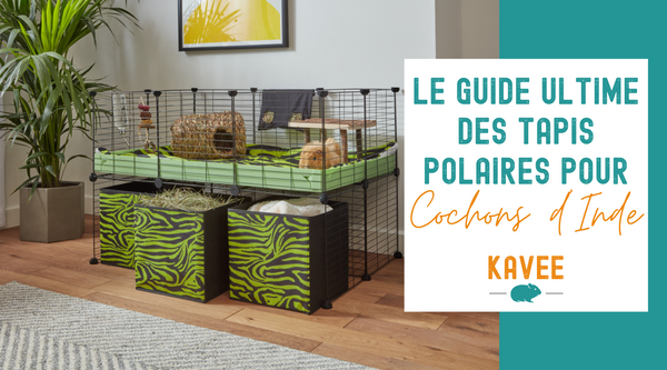Le guide ultime des tapis polaires pour cochons d’Inde kavee cavy cage france