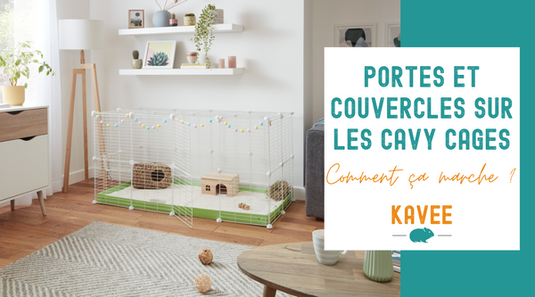 Portes, couvercles et portails articulés sur les cavy cages : comment ça marche ?