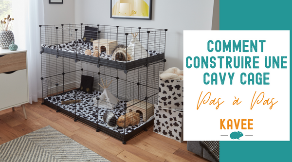 Comment Construire une Cavy Cage pour Cochons d’Inde Pas À Pas