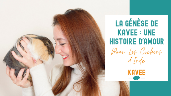 La Genèse de Kavee : Une Histoire d'Amour pour les Cochons d'Inde