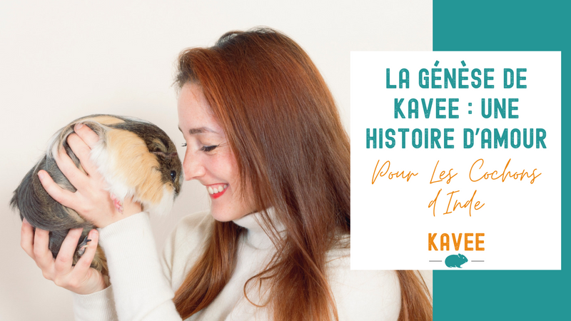 La Genèse de Kavee : Une Histoire d'Amour pour les Cochons d'Inde