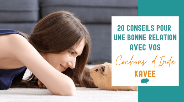 En premier plan est le titre d'un article sur des conseils pour avoir une bonne relation avec son cochon d'Inde créé par la marque Kavee et en arriere plan se trouve une femme allongée en tête à tête avec un cochon d'inde