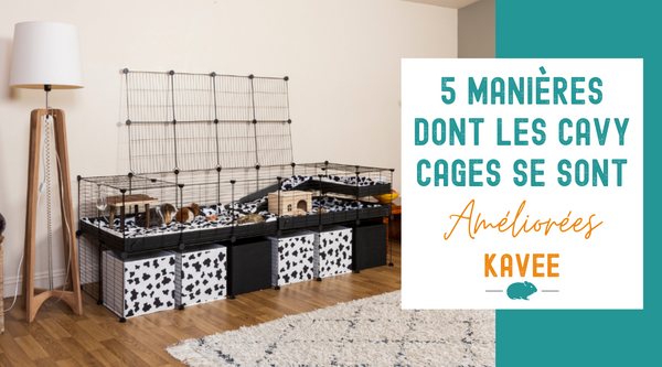 5 manières dont les cavy cages se sont améliorées kavee cavy cage france