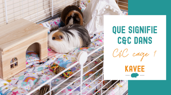 que signifie C&C dans c&c cage cavy cage grille cochon d'inde kavee france