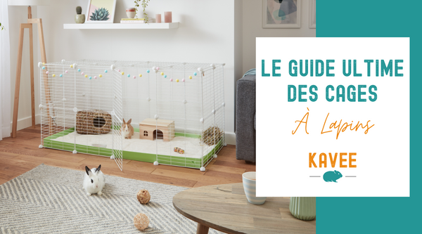 Cages pour Lapins en Intérieur : Comment Choisir ?