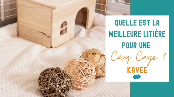 quelle est la meilleure litiere pour cochons d inde kavee