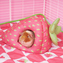 Coffret Fête d'Été pour Cochons d'Inde | Bundle Fraise | Économisez 5 %