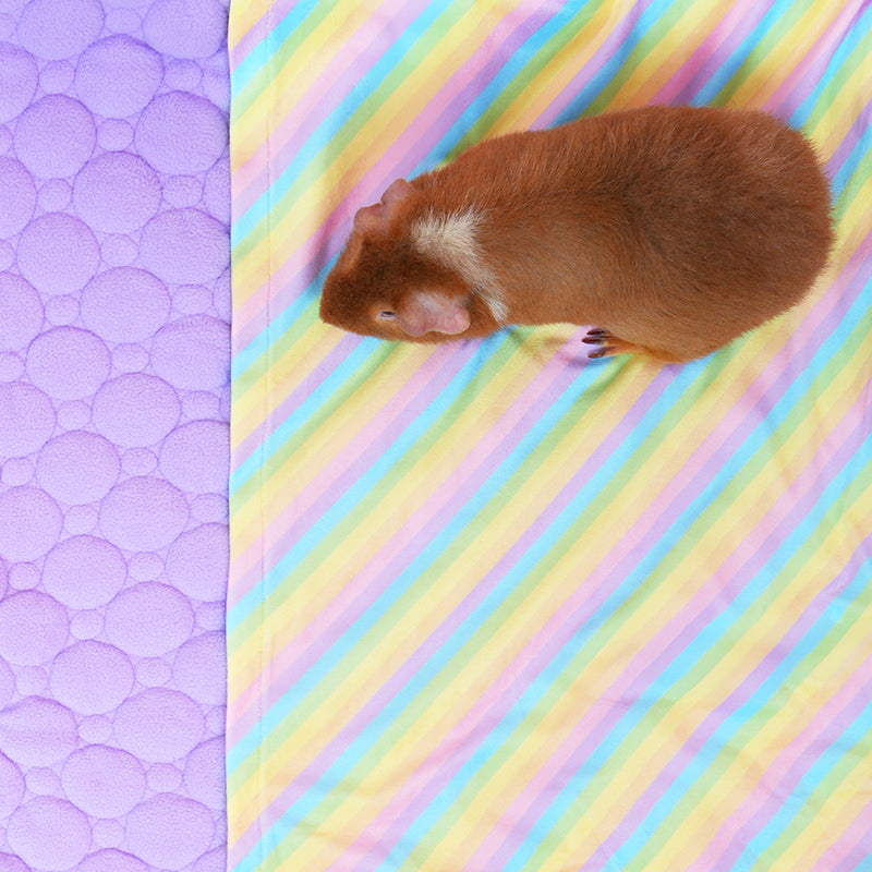 Tapis Polaire Premium pour Cochons d’Inde | Arc-en-ciel