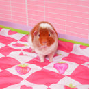 Set de 2 Tapis Polaires |  Fraise