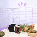 Pack de grilles de couleur