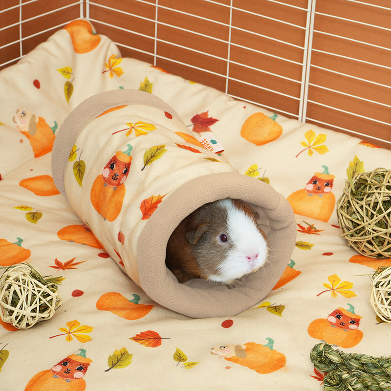 Tunnel | Pumpkin Spice Chon