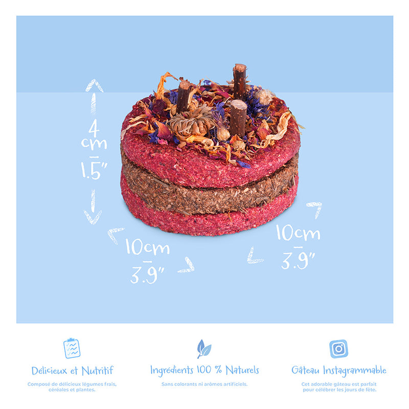Gâteau de fête de la marque Kavee sur fond bleu pastel avec ses dimensions et ses avantages