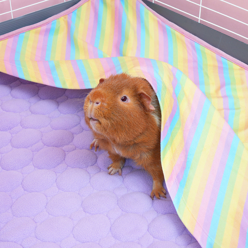 Tapis Polaire Premium pour Cochons d’Inde | Arc-en-ciel