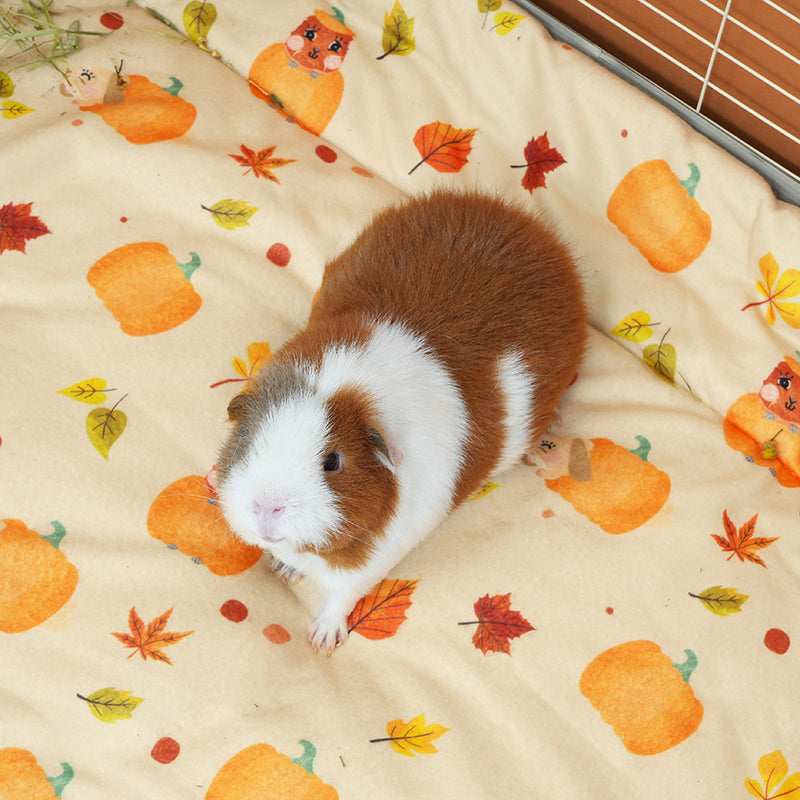 Tapis polaire | Pumpkin Spice Chon