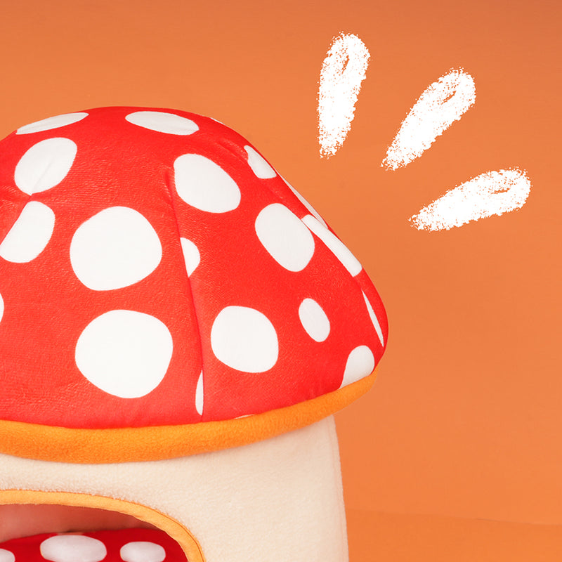 Maison | Champignon