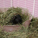 Le Coin Popo des Petits Poilus | Bac à Litière pour Cochons d’Inde et Lapins