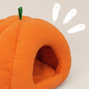 Lit Polaire | Pumpkin Spice Chon