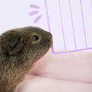 Pack de grilles de couleur