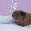 Pack de grilles de couleur