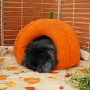 Lit Polaire | Pumpkin Spice Chon