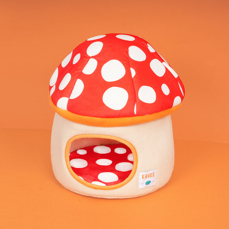 Maison | Champignon