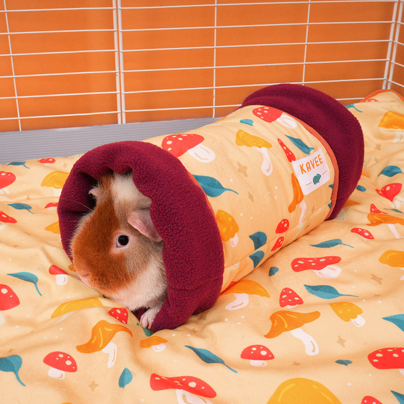 Pack Cocooning