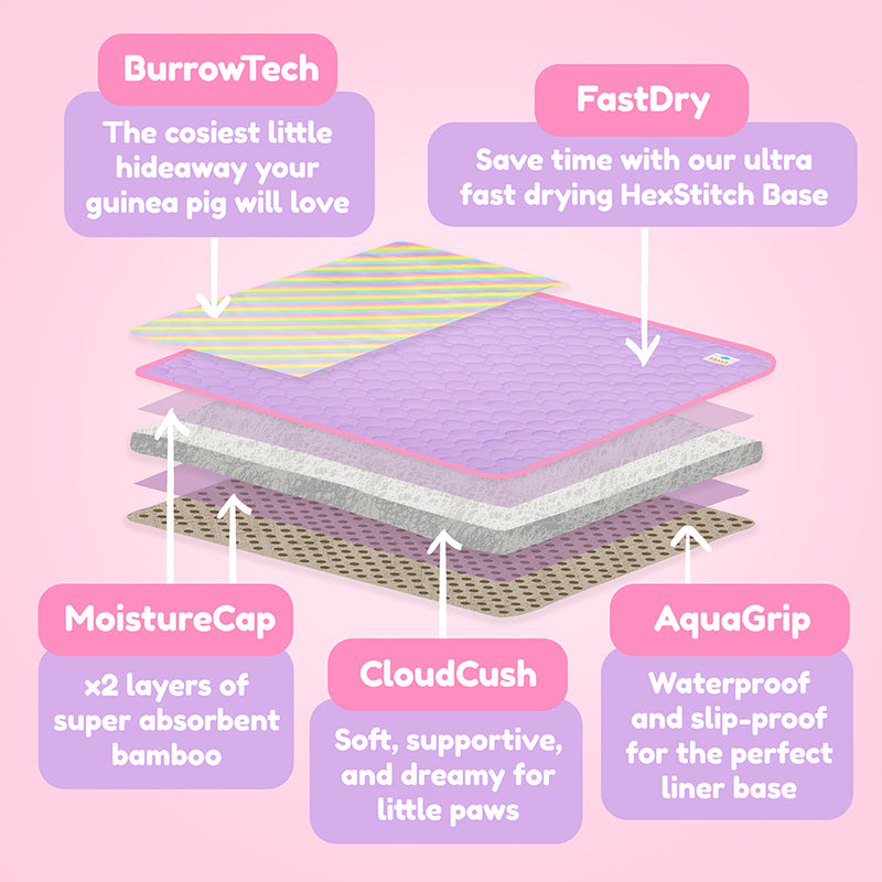 Tapis Polaire Premium pour Cochons d’Inde | Arc-en-ciel