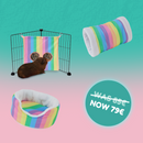 Bundle - Pack Sunny Piggy