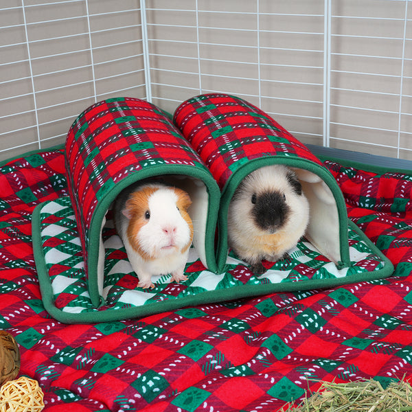 Double Tunnel l Merry Pigmas