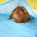 Tapis Polaire Premium pour Cochons d’Inde | Marguerite