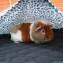 Tapis Polaire Premium pour Cochons d’Inde | Dalmatien