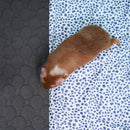 Tapis Polaire Premium pour Cochons d’Inde | Dalmatien