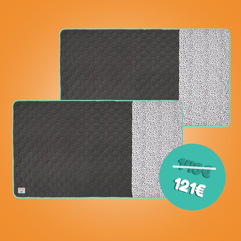 Lot de 2 Tapis Polaires Premium pour Cochons d’Inde | Dalmatien