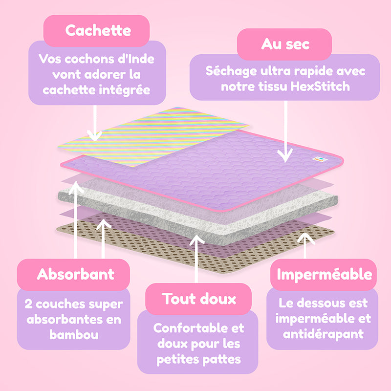 Lot de 2 Tapis Polaires Premium pour Cochons d’Inde | Arc-en-ciel