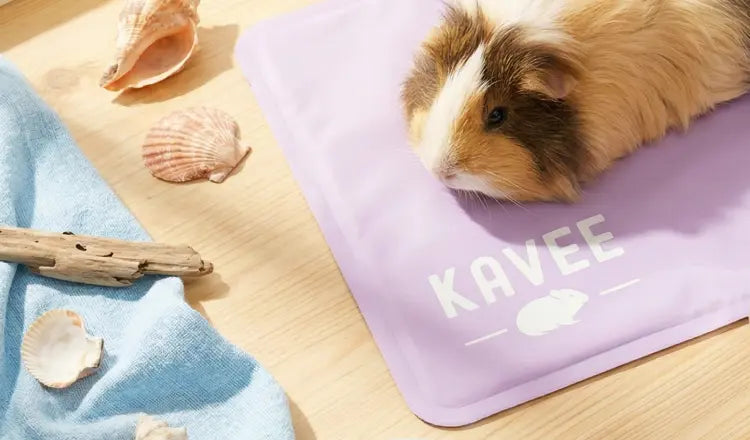 Kavee boutique