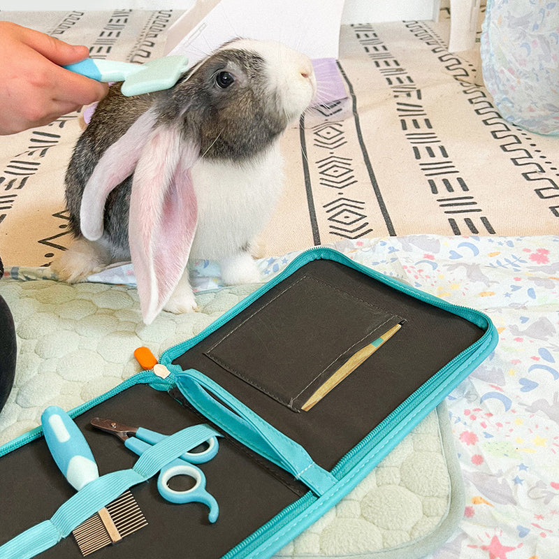 Trousse de toilettage bleue de Kavee sur un tapis coloré, ouverte sur son contenu avec un lapin qui se fait brosser derrière.