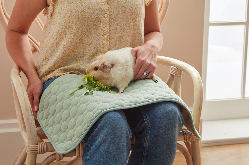 Tapis Imperméables pour Cochons d'Inde et Lapins - Lot de 3