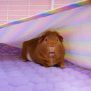 Tapis Polaire Premium pour Cochons d’Inde | Arc-en-ciel