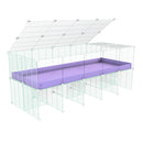 Cavy Cage Rehaussée 5x2 avec plexiglass