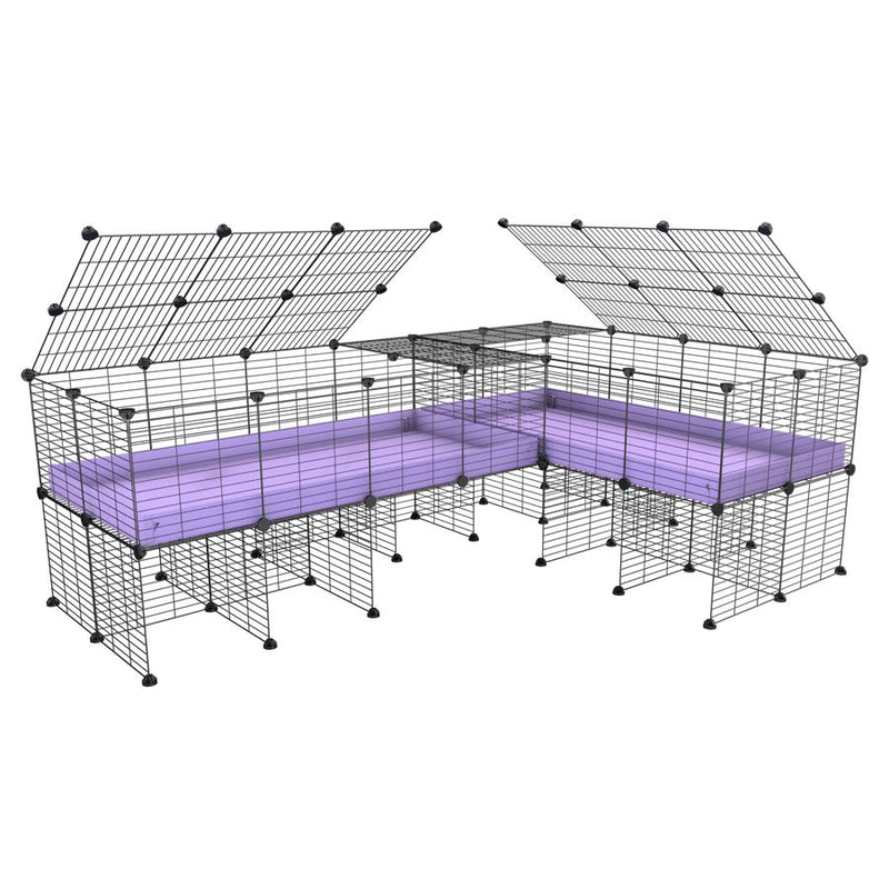 une cavy cage 8x2 en L avec stand avec couvercle et separation pour cochons d'inde qui se battent ou en quarantaine avec coroplast lilas violet kavee