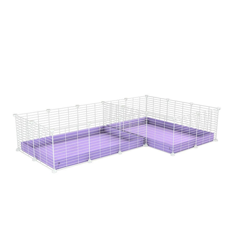 une cavy cage blanche 6x2 en L avec separation pour cochons d'inde qui se battent ou en quarantaine avec coroplast lilas violet kavee