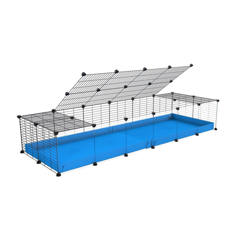 une cavy cage 6x2 pour cochons d'inde avec panneaux transparents en plexiglass avec couvercle coroplast bleu et grilles avec barreaux etroits de kavee