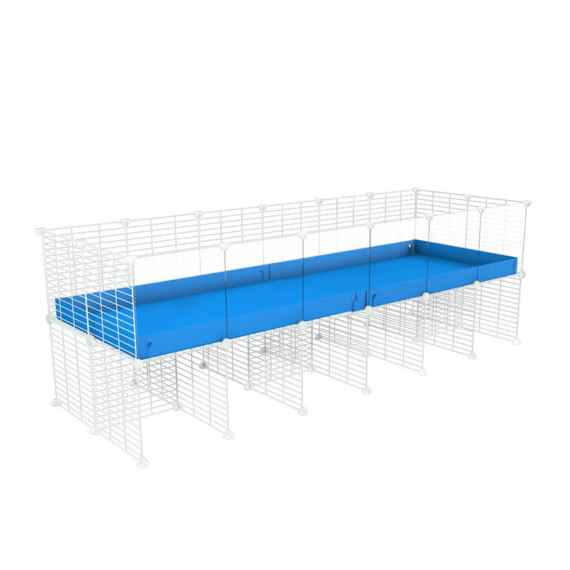 une cavy cage C&C 6x2 avec panneaux transparents en plexiglass  pour cobayes cochons d'inde avec rehausseur correx bleu et grilles blanches fines de kavee france