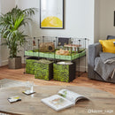 cavy cage 3x2 décoration thème végétal de la jungle verte meilleure plus belle cage de cochon d'Inde