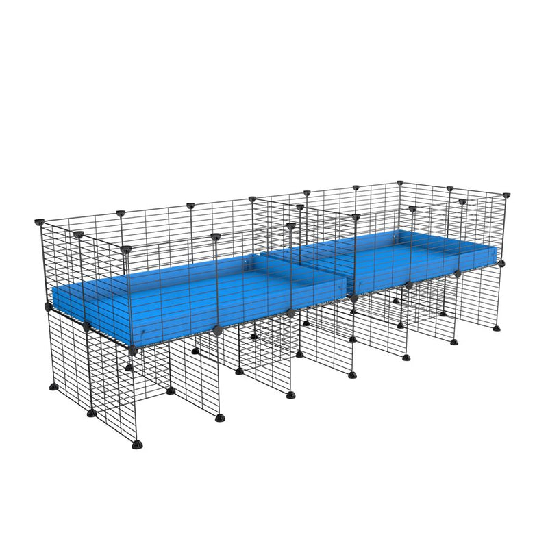une cavy cage 6x2 stand avec separation pour cochons d'inde qui se battent ou en quarantaine avec coroplast bleu kavee